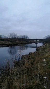 Любимая рыбалочка #рыбалка #река #счастье #рек #спиннинг #просмотры