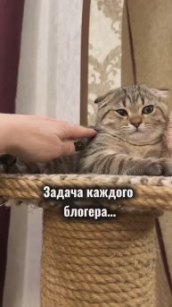 Блогер только начинающий, а уже знает все азы😂