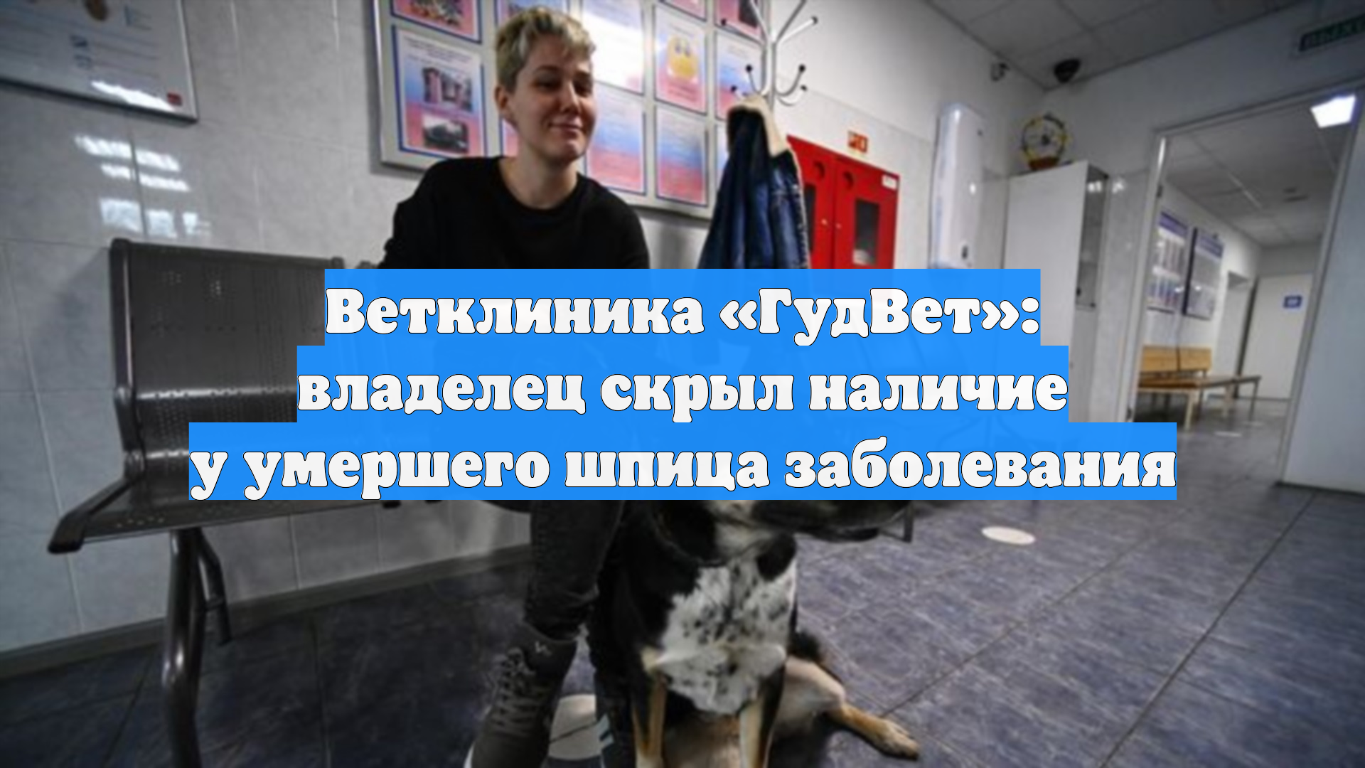 Ветклиника «ГудВет»: владелец скрыл наличие у умершего шпица заболевания
