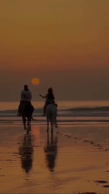 ПУСТЬ ВАМ В ЖИЗНИ ПОВЕЗЁТ.