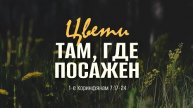 Цвети там, где посажен - 1 Кор. 7-17-24 -- Андрей Зубарев