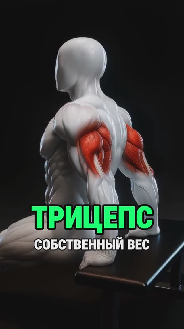 4 упражнения на трицепс со своим весом