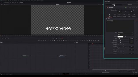 The Ultimate Text Animation Guide for Every Level of Editor (DaVinci Resolve)
