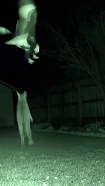 User-Rt9X7BAauSJ3gG4X6F5ROhYp_gen_01kavjdcjsfym9jf9vdwaynj1p.mp4