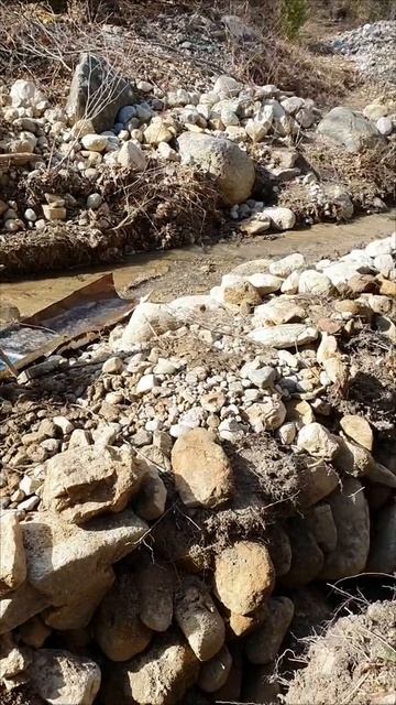 Поиск золота