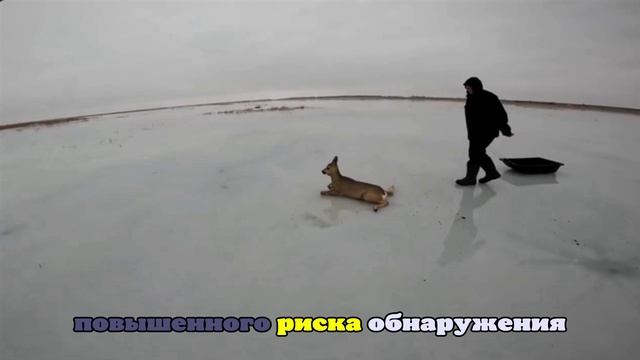 В России могут усложнить регистрацию старых авто с 2026 года