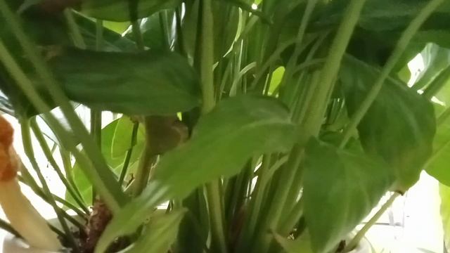 Новости с моего окна