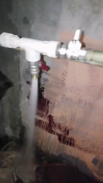 Свердлова, 81/2