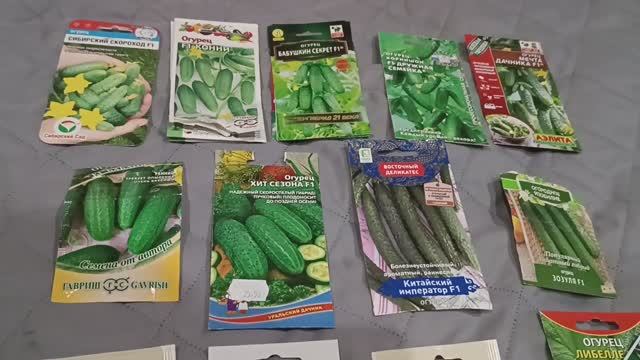 Обзор семян огурцов - анализ своего опыта, фавориты и не только...