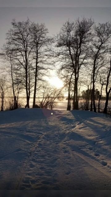 13.01.2025 2ч. 🪨Скалы.🌲Лес.🏞Озёра.🌅Лесогорск.🌡Лосево.🌬❄️