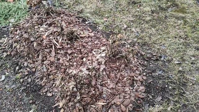 1.ДАЧА😀Ура ОТКРЫЛИ СЕЗОН ✌1 часть(06.04.21)