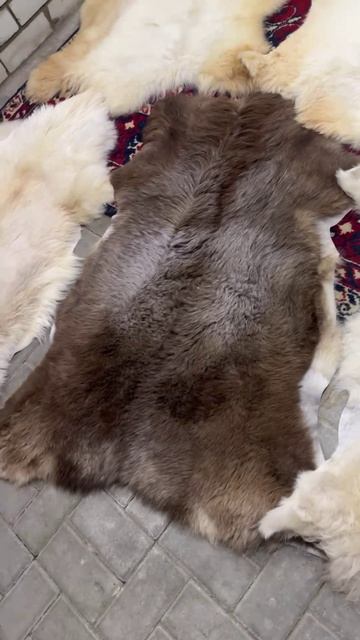 project-2025-12-05 12:16:33.8290