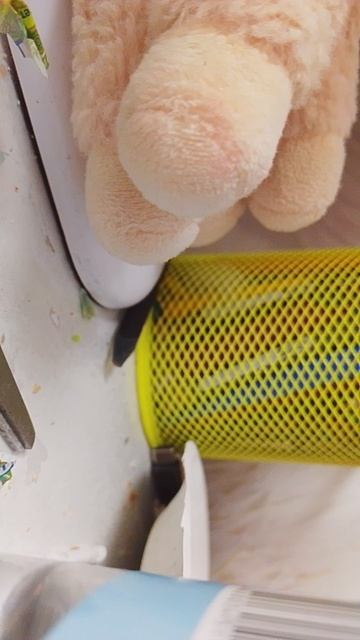 мда треш конечно ну 🤦♀️