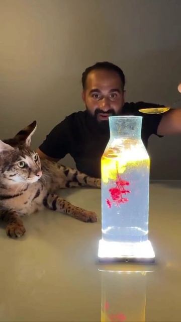 И последний штрих 😎