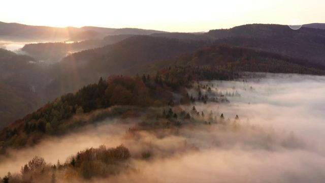 Возьмите на урок: И. Бунин «Листопад»