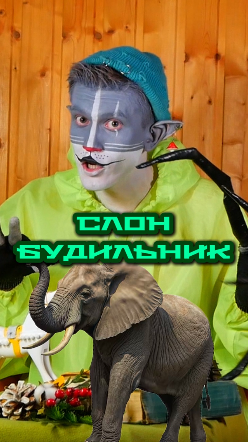 Кот Учёный и Слон 🐘