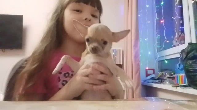 окружающий мир подготовка к школе 📖