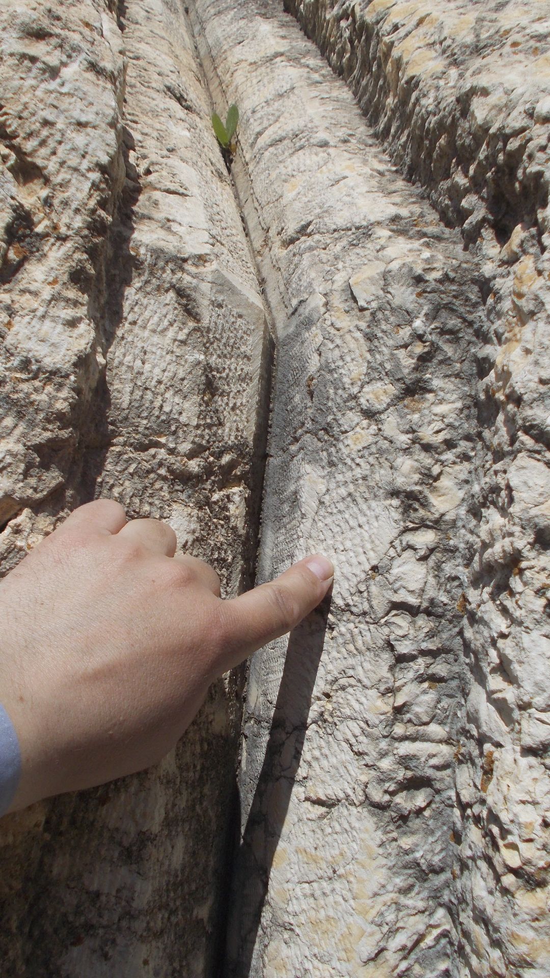 На 400-тонном мегалите в Баальбеке обнаружена шокирующая деталь