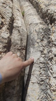 На 400-тонном мегалите в Баальбеке обнаружена шокирующая деталь