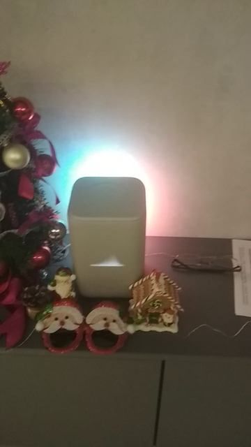 VID_20251205_161945.mp4