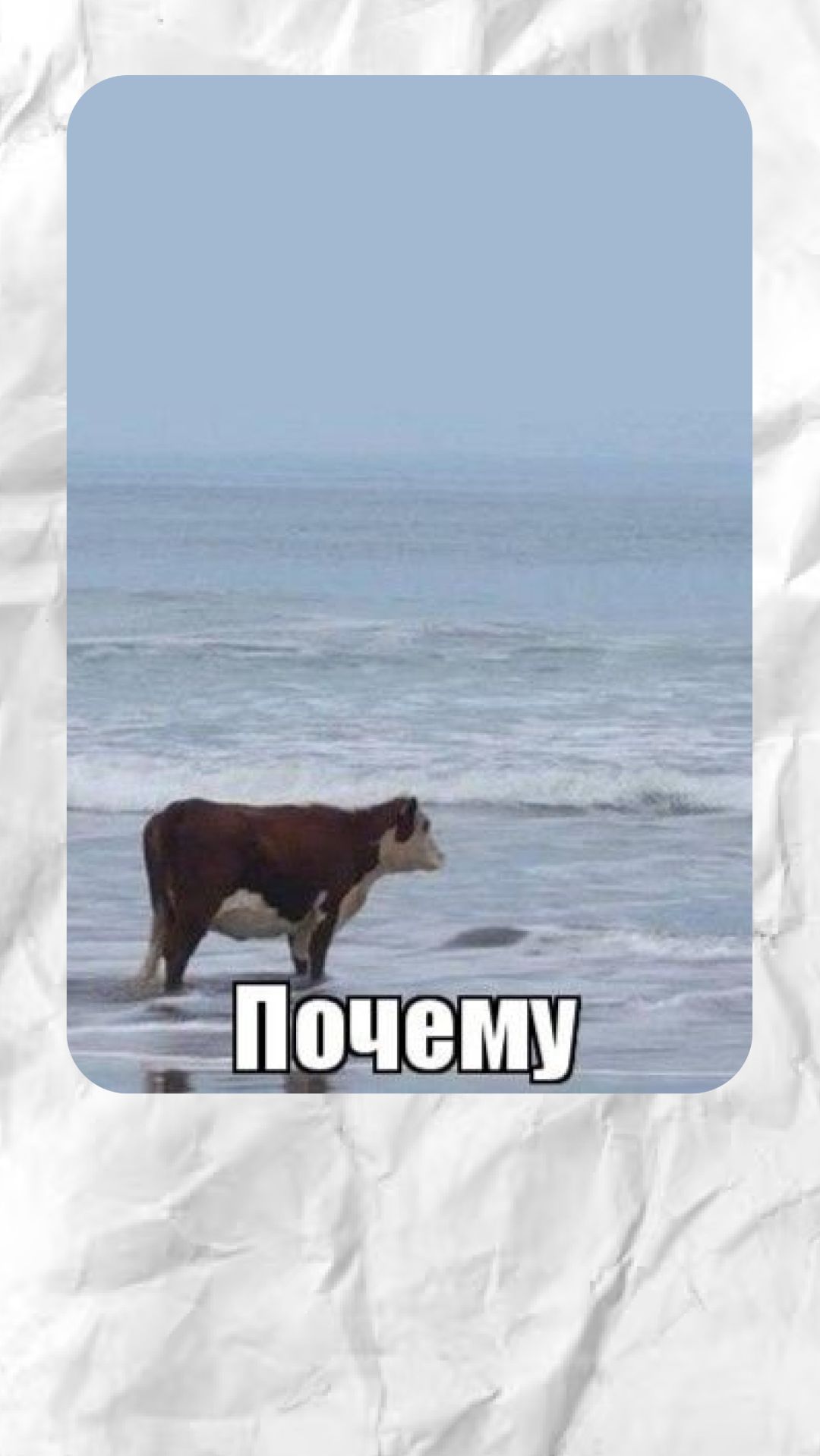 Почему рваная шляпа похожа на письменный стол?