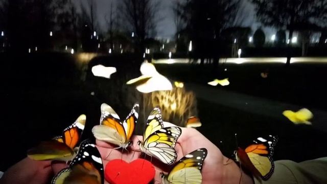 23442cad02311f0b3673e74b3655ddb.mp4