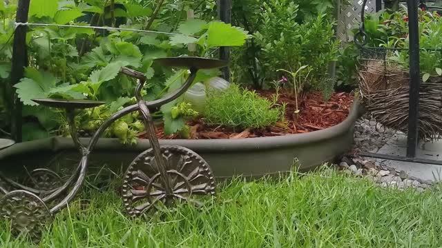 КРОШЕЧНЫЙ САД НА ЗАДНЕМ ДВОРЕ В КАНАДЕ