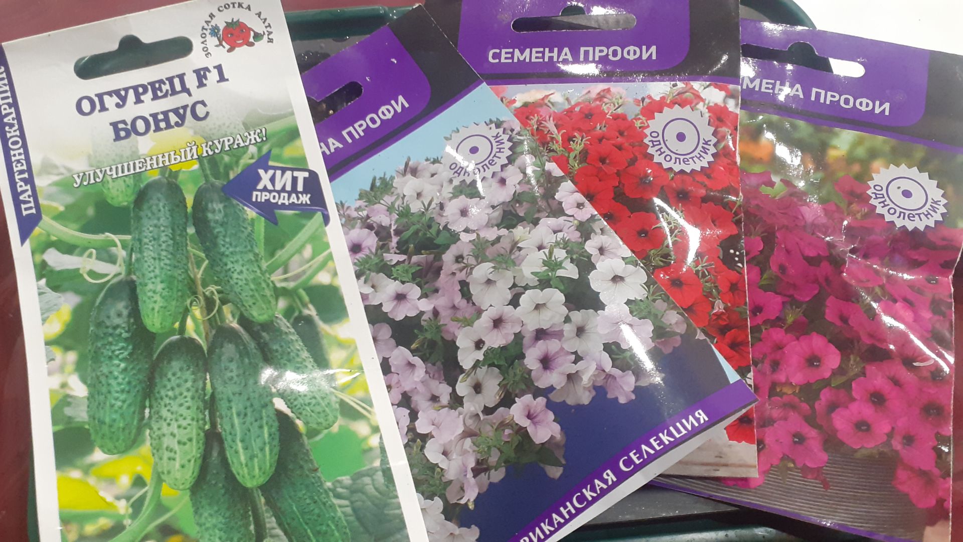 04.12.2025 + 1 гибрид огурца, посев тайдалов идет по плану.