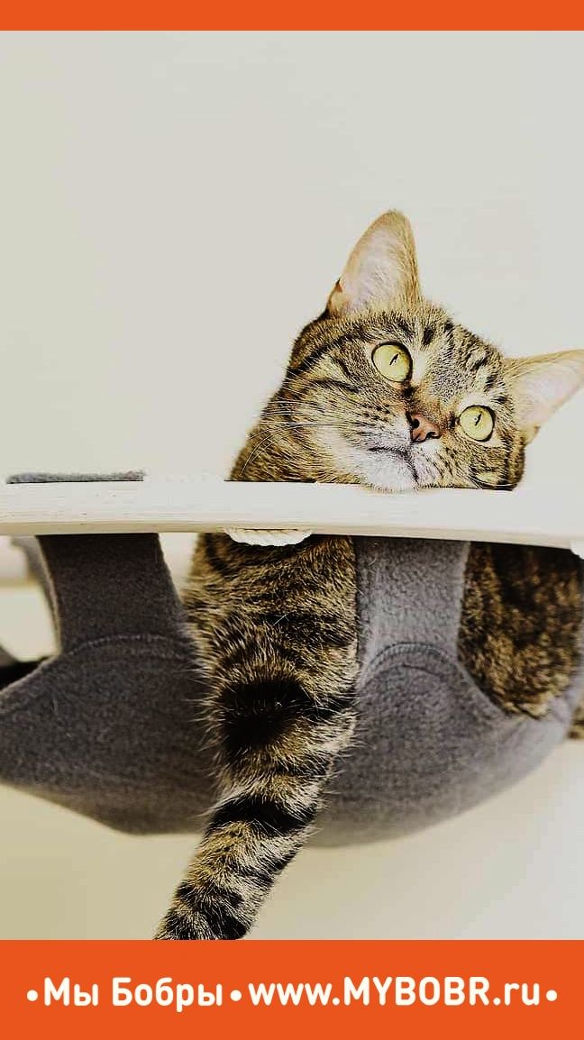 Прекрасной пятницы, друзья!😍