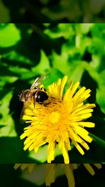 Повод для улыбки ( воспоминание)
5 декабря....