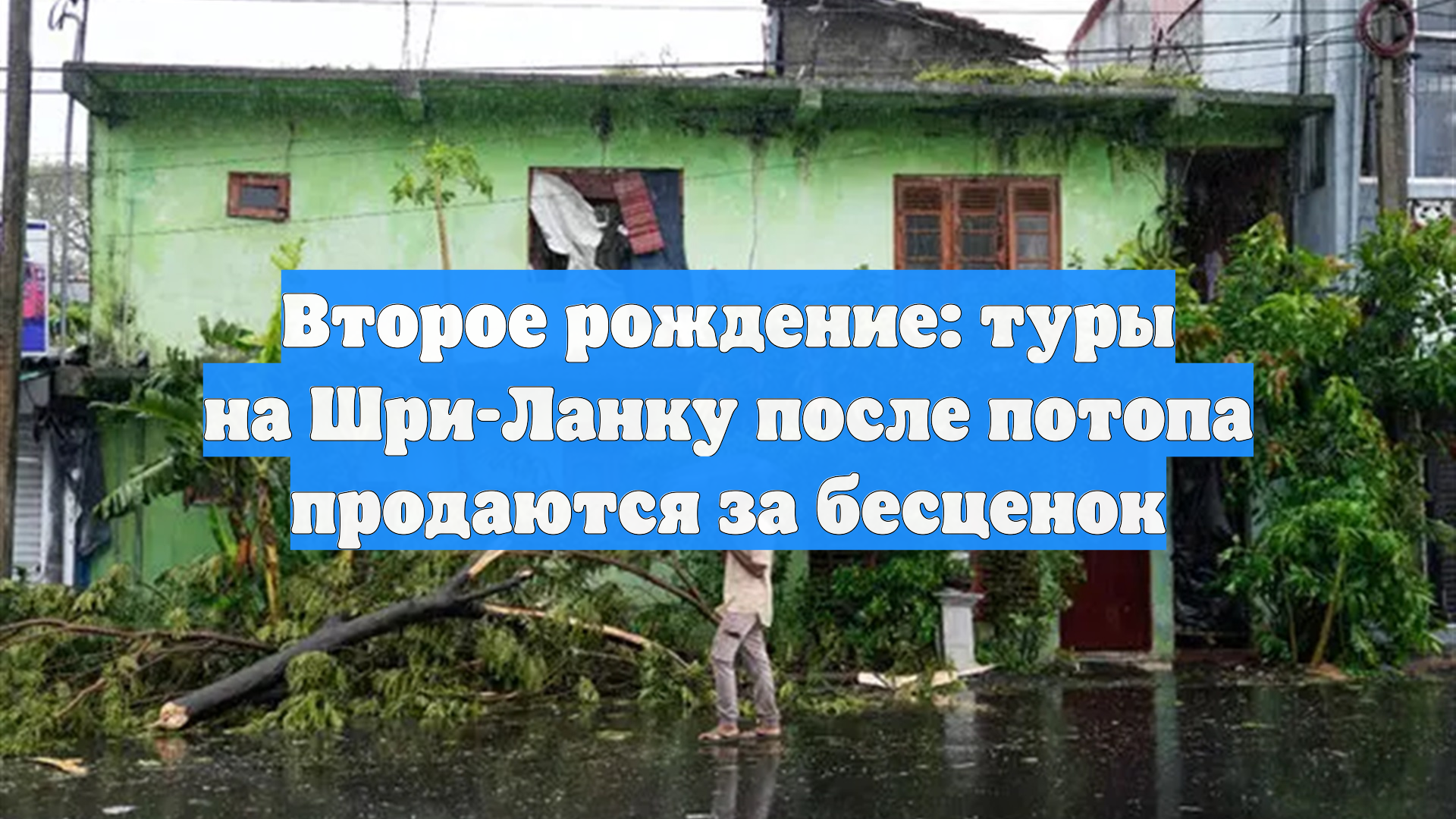 Второе рождение: туры на Шри-Ланку после потопа продаются за бесценок