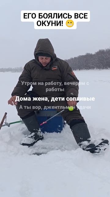 Суровая у нас рыбалка! 😁