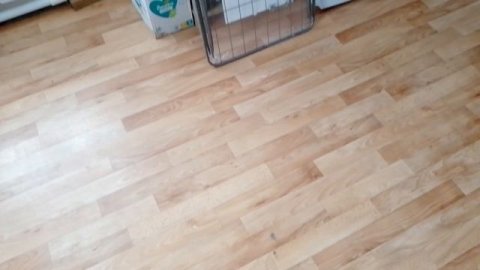 Купил сушилку для белья и одежды 🙂