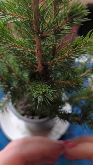 Решай а не борись