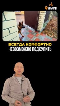 video5303364327917524862