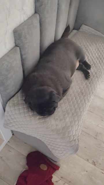 охрана на посту