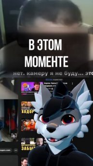 Показать ZOV фурри после х*хлов #shorts #Андрболл #Andrboll #furry #rosko1