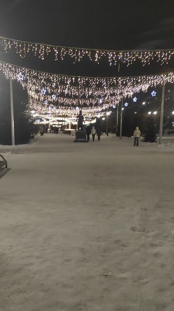 Олея влюбленных украшенная к Новому году много фонариков