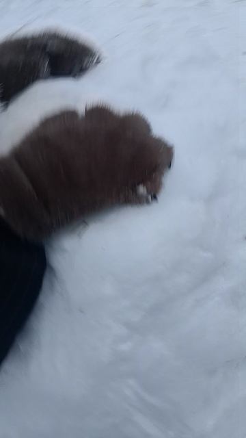 огромный шар снега с горки