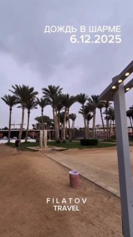 Дождь в Египте впервые за много лет! #дождьвегипие #египет #2025 #шарм2025