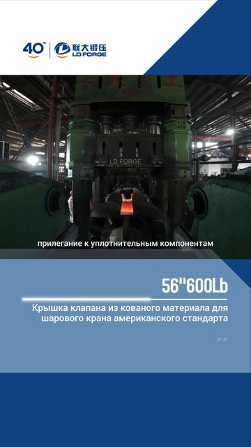 56''600Lb Крышка клапана из кованого материала для шарового крана американского стандарта-LD FORGE