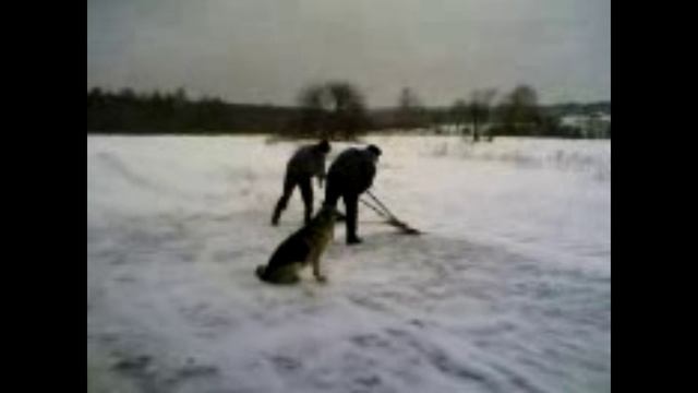 чистим площадку