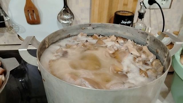 Грибная охота в декабре / Жду вывода /