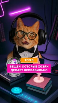 Топ 5 вещей, которые хозяин делает неправильно