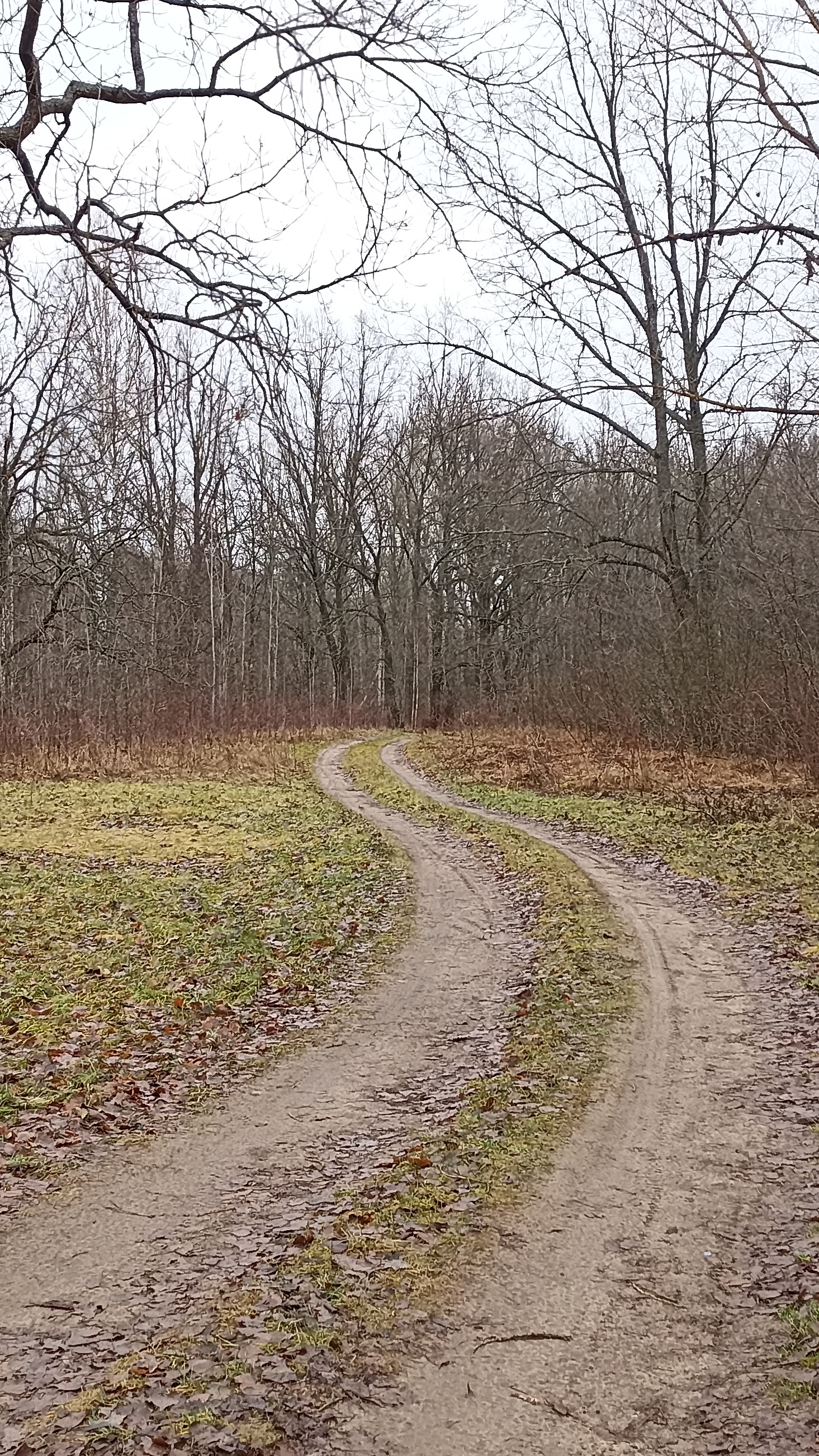 Дороги, тишина, спокойствие.