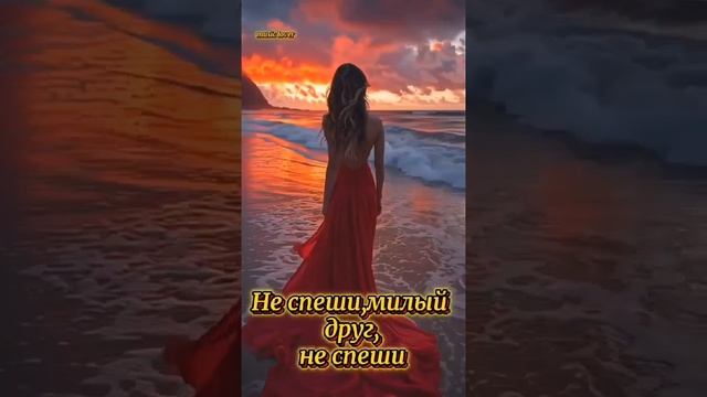 Не спеши милый друг, не спеши...