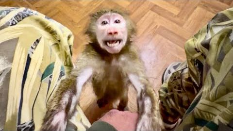 Анфиса стала ТАКОЙ БОЛТУНЬЕЙ, она рассказывает Денису обо всем!))