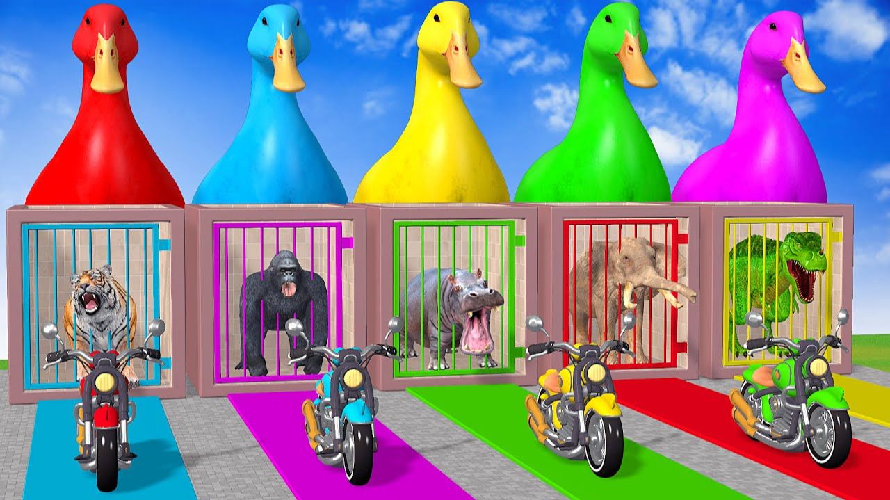 Веселые игры с слоном, гориллой, бегемотом, тигром - 3D игра с животными - Забавные 3D животные