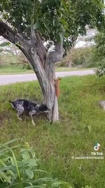 Это шок-контент!.. 🤣