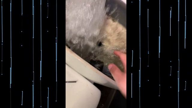 ПРИКОЛЫ 2025 Смешные видео - Лучшие ПРИКОЛЫ